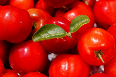 L'acérola : un trésor de Vitamine C ...