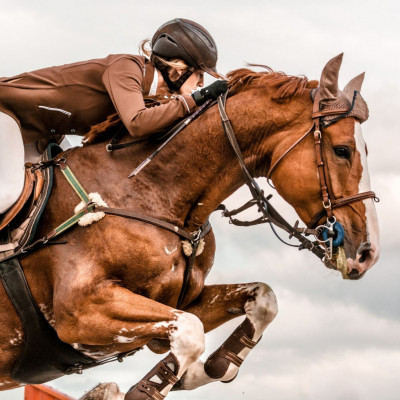 Comment préparer son cheval à la compétition ?
